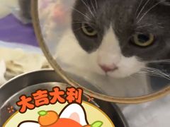 -美迦爱-牙专科·兔科·骨科诊疗中心(北苑店)