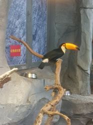 -Zoolung Zoolung动物主题公园(海信广场店)