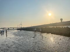 -南汇新城海滩