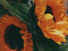 -谷莠子花艺·气球派对·绿植造景·花艺沙龙(金光华广场店)