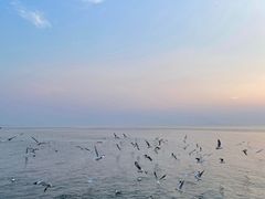 -大理洱海