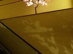 -汤泉良子(金源店)