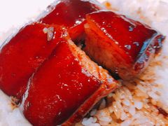 红烧肉-77号渔船·蒸海鲜青岛菜(积米崖店)