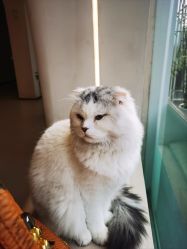-懒猫摄影studio写真馆