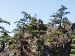 -王顺山国家森林公园