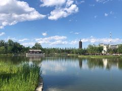 -西海子公园