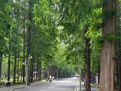 -日照海滨国家森林公园