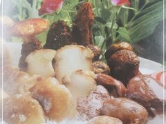 -名善山珍·野生菌汤锅(文殊院店)