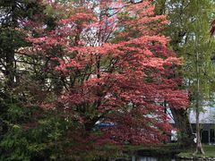 -北海道厅旧本厅舍(旧本庁舎)