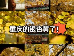 -佛荫寺