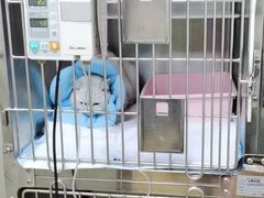 -爱侣·安琦尔宠物医院·中兽医针灸·心内科·狂犬免疫点(宝山区院)
