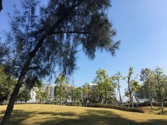 -宝安西湾红树林湿地公园