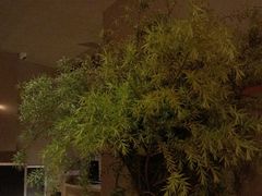 -灸春堂·专业艾灸·连锁品牌(丰潭路店)