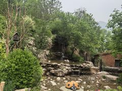 -幽岚山·童话森林