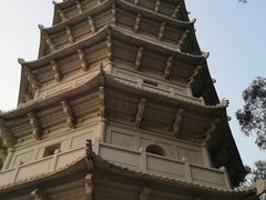 -深圳国际园林花卉博览园