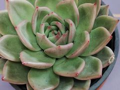 -恒达综合农贸市场(黄山路店)