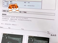 -北京观赏动物医院·24小时大型综合·猫专科·异宠专科