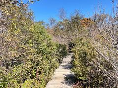 -白草畔自然风景区