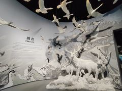 -中国湿地博物馆