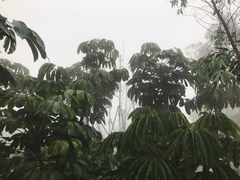 -小南山公园