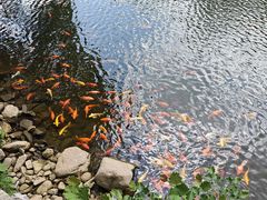 -昆嵛山石门里景区
