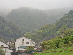 -龙井村