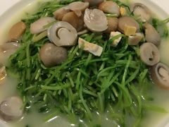 -广东道至正餐厅(区庄店)