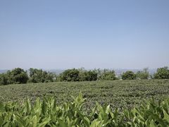 -南京市江宁方山