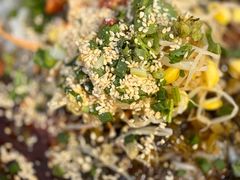 -农记海南清补凉(沈阳小区店)