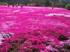 -昆嵛山石门里景区