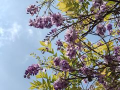 -西南交通大学(九里校区)