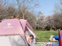 -蜀冈西峰生态公园