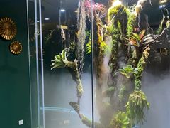 -泰悠谷养生SPA(世茂商业街店)