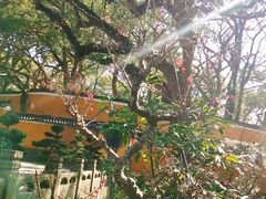 -普陀山风景名胜区-法雨禅寺