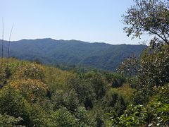 -雁南飞茶田景区