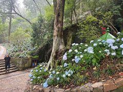 -莫干山风景区