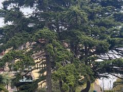 -青岛德国总督楼旧址博物馆