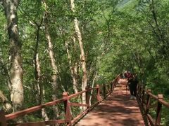 -白草畔自然风景区