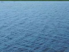 -鄱阳湖国家湿地公园