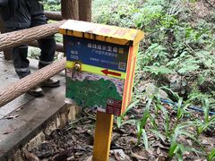 -火炉山森林公园