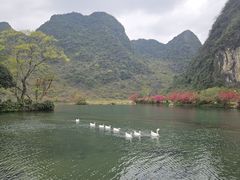 -靖西鹅泉风景区