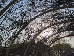 -同里国家湿地公园