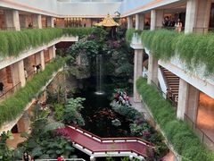 -广州白天鹅宾馆