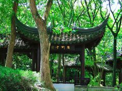 -上海佘山国家森林公园天马山园