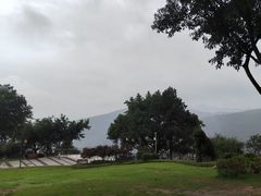 -铁山坪森林公园