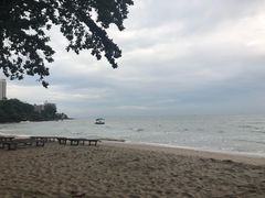 -卷心菜和避孕套餐厅(Pattaya)