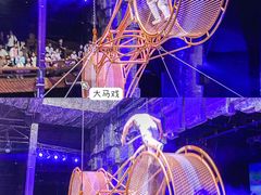 -长鹿旅游休博园