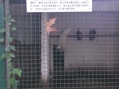 -甘棠公园