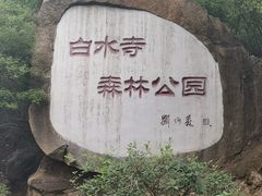 -白水寺森林公园