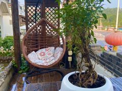-慢丽江·云南野生菌土鸡锅(付家庄店)